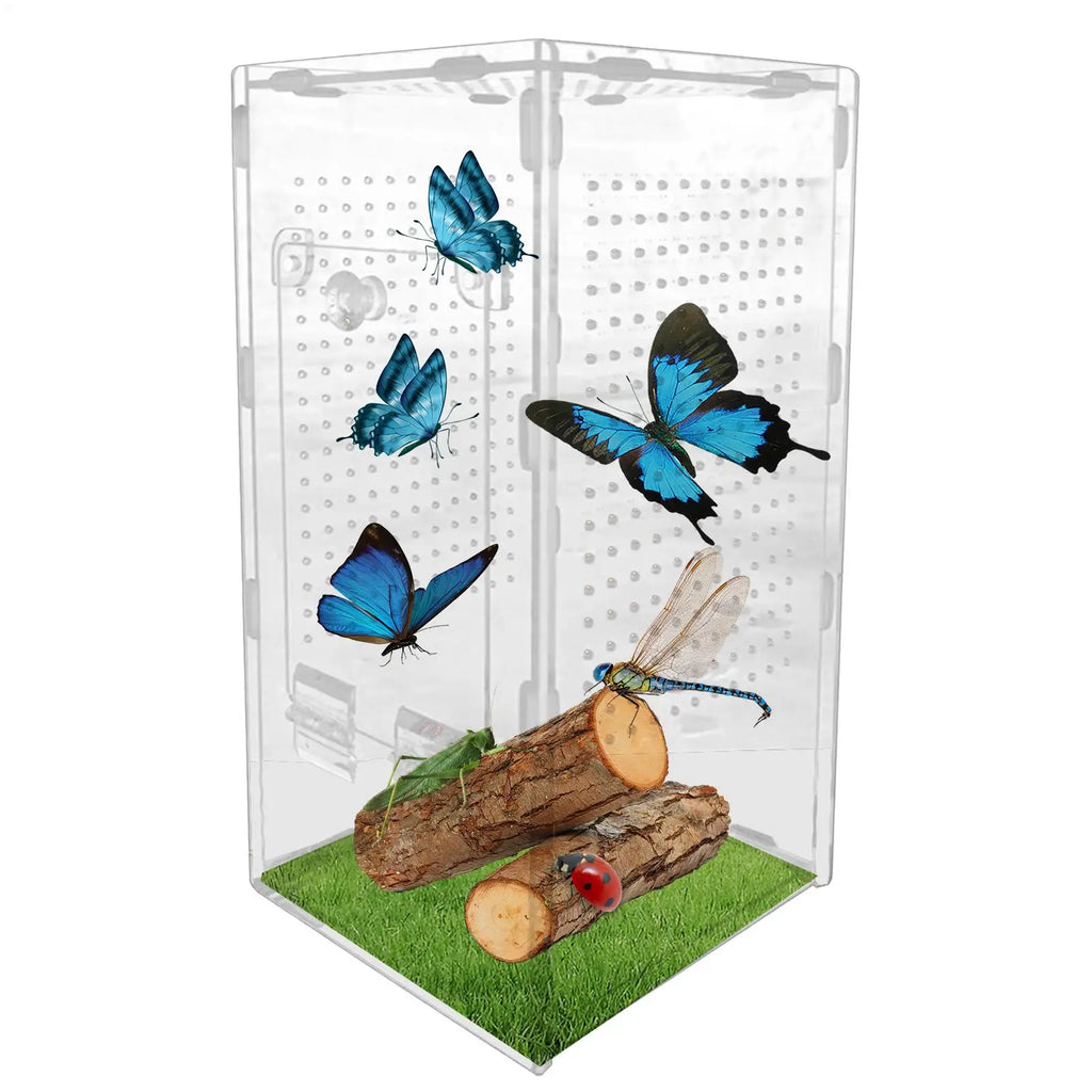 Terrarium Acrylique 360 Degrés