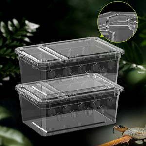 Terrarium Déplacement – Boîte Élevage Empilable Reptiles