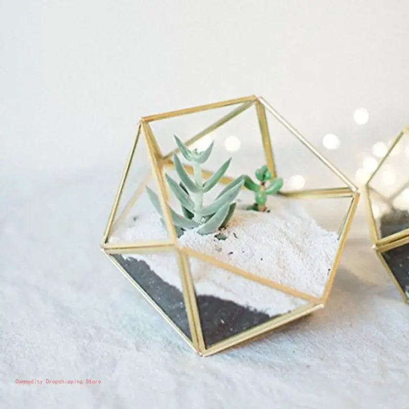 Terrarium Plante Cube Verre avec Structure Métal Élégante