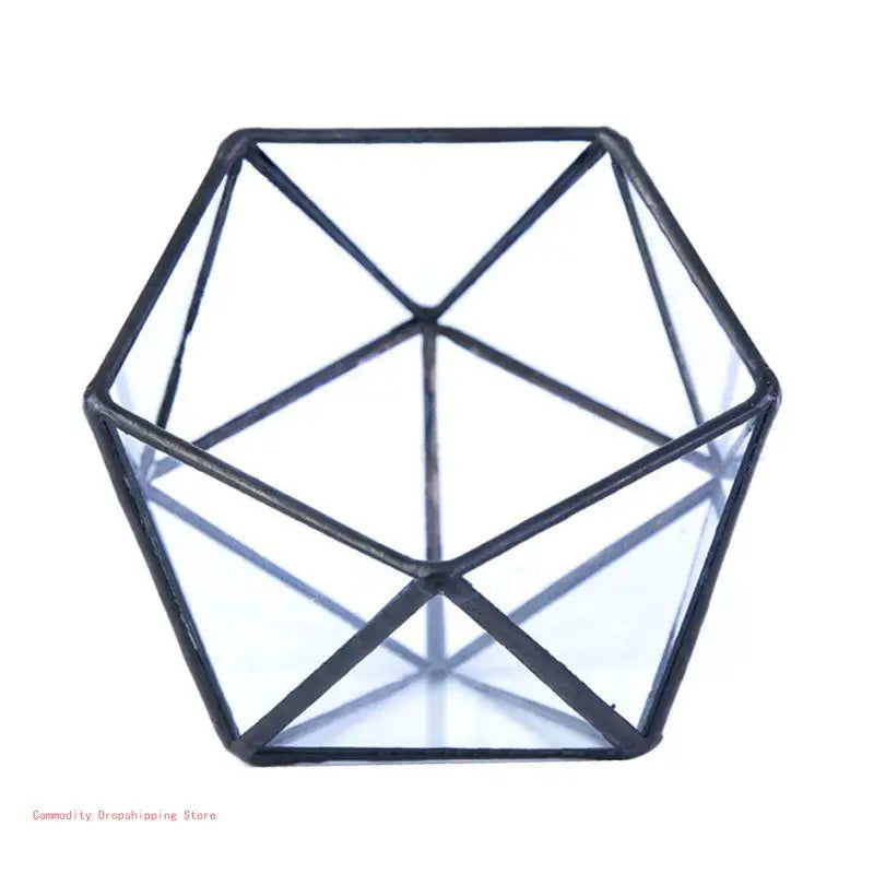 Terrarium Plante Cube Verre avec Structure Métal Élégante