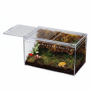 Terrarium Acrylique Transparent pour Reptiles et Invertébrés