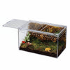 Terrarium Acrylique Transparent pour Reptiles et Invertébrés