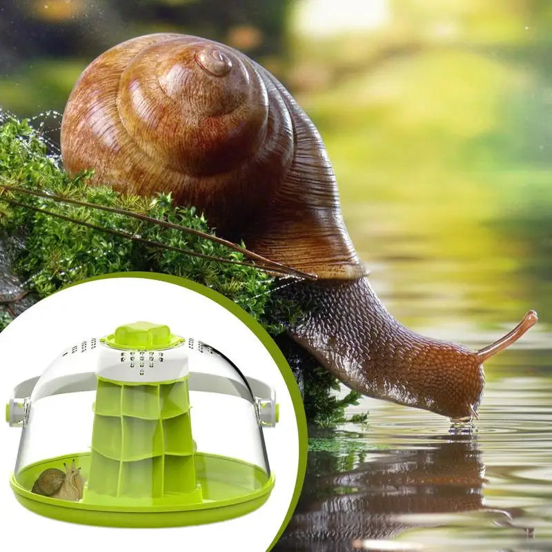 Maison d'Élevage pour Escargots et Reptiles – Boîte d'Alimentation ABS/PC Transparent avec Poignée