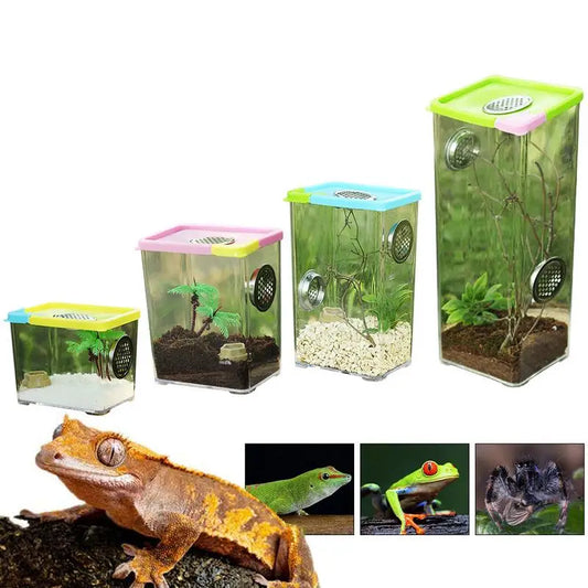Boîte d'Élevage Reptiles Acrylique – Terrarium Ventilé - VIVARIUM PRO