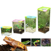 Boîte d'Élevage Reptiles Acrylique – Terrarium Ventilé
