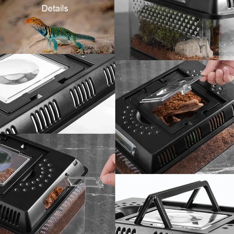 Terrarium D'élevage en plein Air Reptiles et Amphibiens