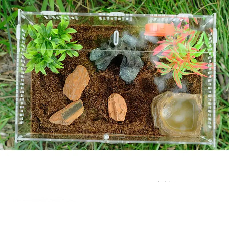Terrarium Acrylique Transparent pour Reptiles