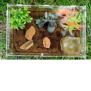 Terrarium Acrylique Transparent pour Reptiles