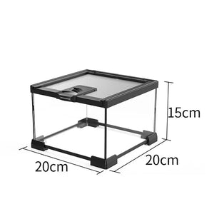 Mini Terrarium Verre – Boîte Élevage Reptiles Verrou Magnétique
