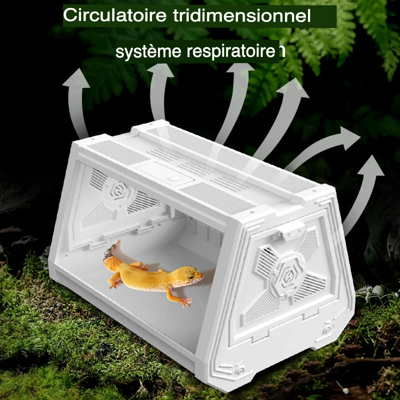 Terrarium Compact Blanc – Gecko