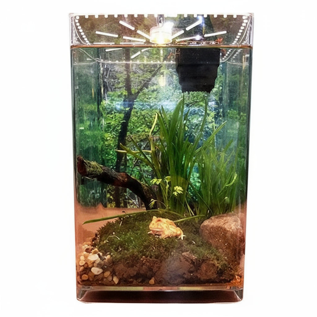 Terrarium Acrylique Ultra-Transparent pour Reptiles et Invertébrés