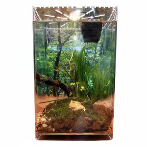 Terrarium Acrylique Ultra-Transparent pour Reptiles et Invertébrés