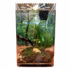 Terrarium Acrylique Ultra-Transparent pour Reptiles et Invertébrés