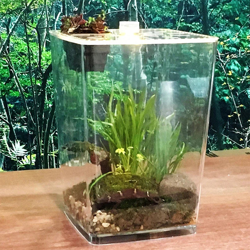 Terrarium Acrylique Ultra-Transparent pour Reptiles et Invertébrés