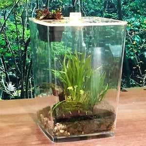 Terrarium Acrylique Ultra-Transparent pour Reptiles et Invertébrés