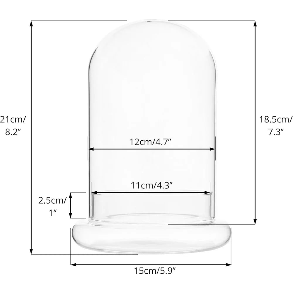 Terrarium Plante Cloche Verre Borosilicate avec Base Ventilée