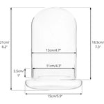 Terrarium Plante Cloche Verre Borosilicate avec Base Ventilée