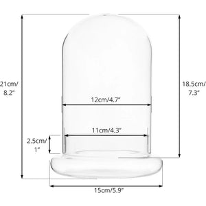 Terrarium Plante Cloche Verre Borosilicate avec Base Ventilée