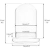 Terrarium Plante Cloche Verre Borosilicate avec Base Ventilée