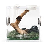 Kit Complet Boîte d'Élevage Reptiles Acrylique