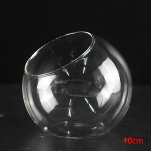 Terrarium Plante - Boules de Verre Borosilicate Transparent