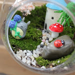 Vase Boules de Verre Borosilicate – Terrarium Moderne Bouche Ouverte - VIVARIUM PRO