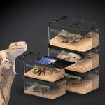 Terrarium d'Alimentation Reptiles – Double Porte Magnétique