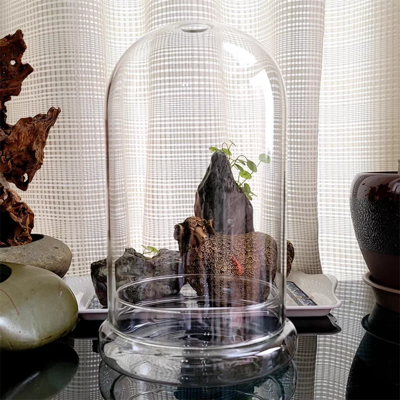 Terrarium Plante Dôme en Verre Borosilicate Fait Main