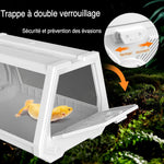 Terrarium Compact Blanc – Gecko