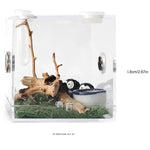 Kit Complet Boîte d'Élevage Reptiles Acrylique