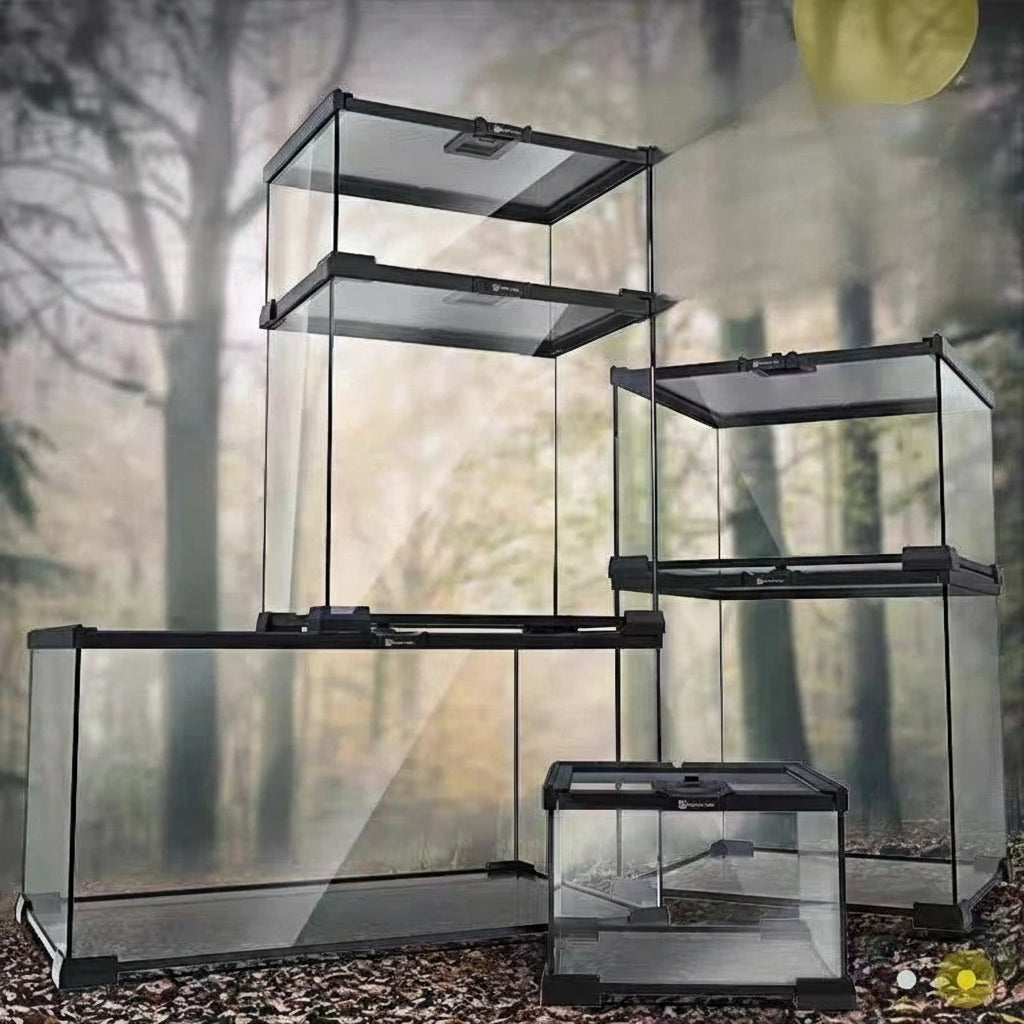 Mini Terrarium Verre – Boîte Élevage Reptiles Verrou Magnétique