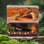 Terrarium Acrylique Transparent pour Reptiles et Invertébrés