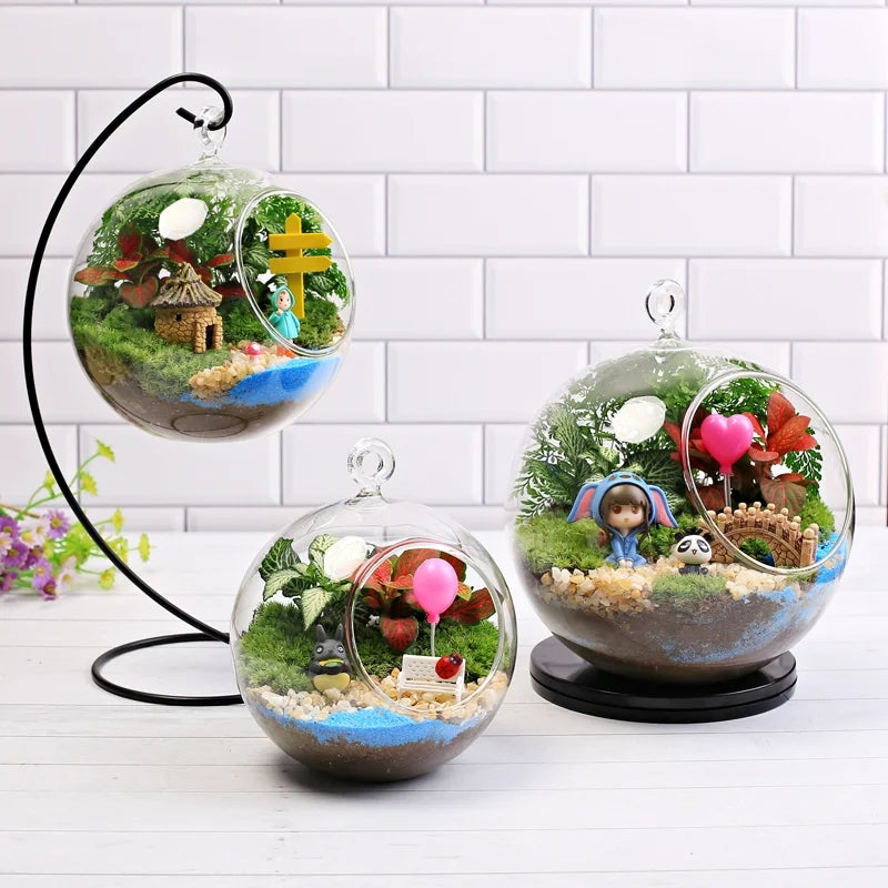 Terrarium Plante Suspendu en Verre avec Support Décoratif - VIVARIUM PRO