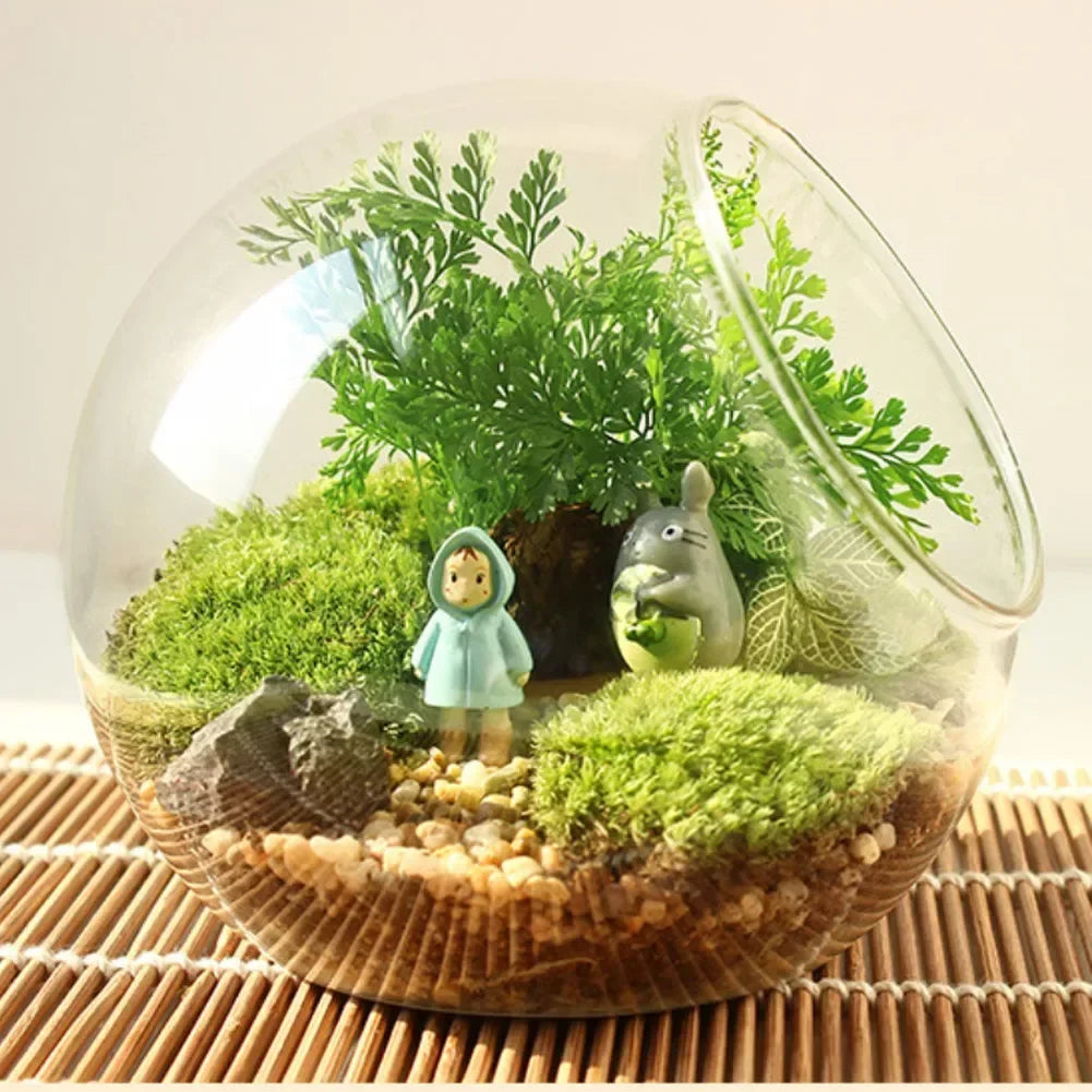 Vase Boules de Verre Borosilicate – Terrarium Moderne Bouche Ouverte - VIVARIUM PRO