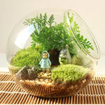 Vase Boules de Verre Borosilicate – Terrarium Moderne Bouche Ouverte - VIVARIUM PRO