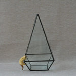 Terrarium Plante Géométrique Vertical Verre et Métal Design - VIVARIUM PRO