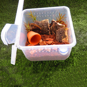 Petite Boîte d'Élevage Carrée Reptiles – Plastique ABS Transparent