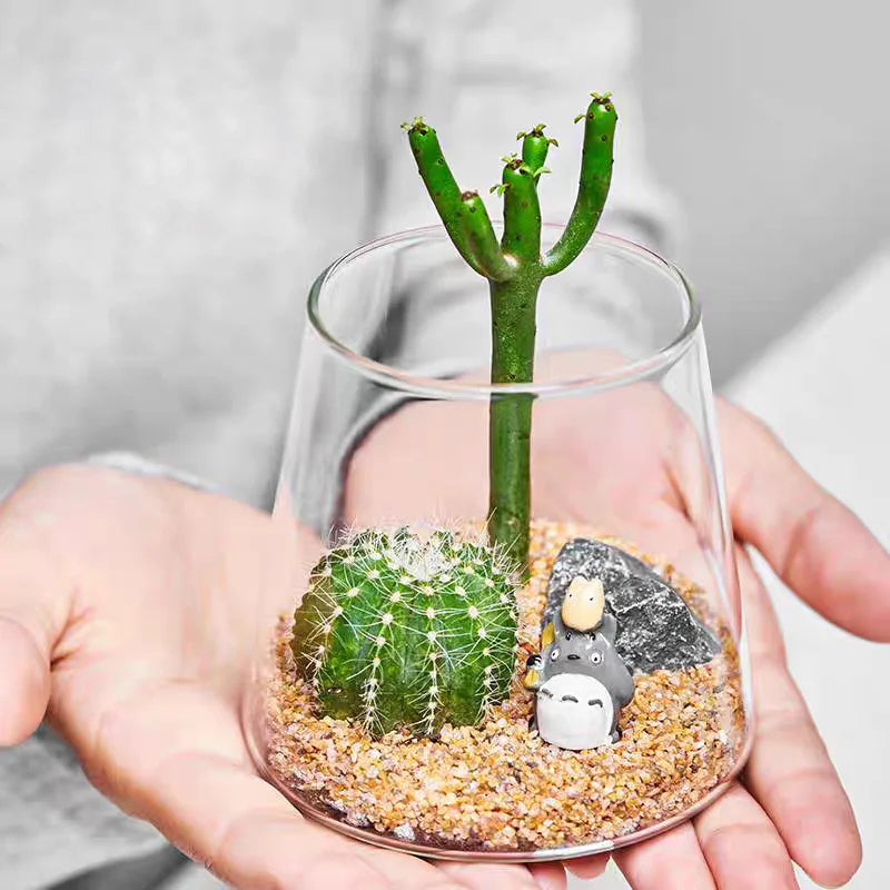 Terrarium Plante en Verre Borosilicate