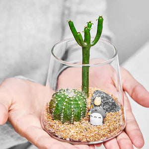 Terrarium Plante en Verre Borosilicate