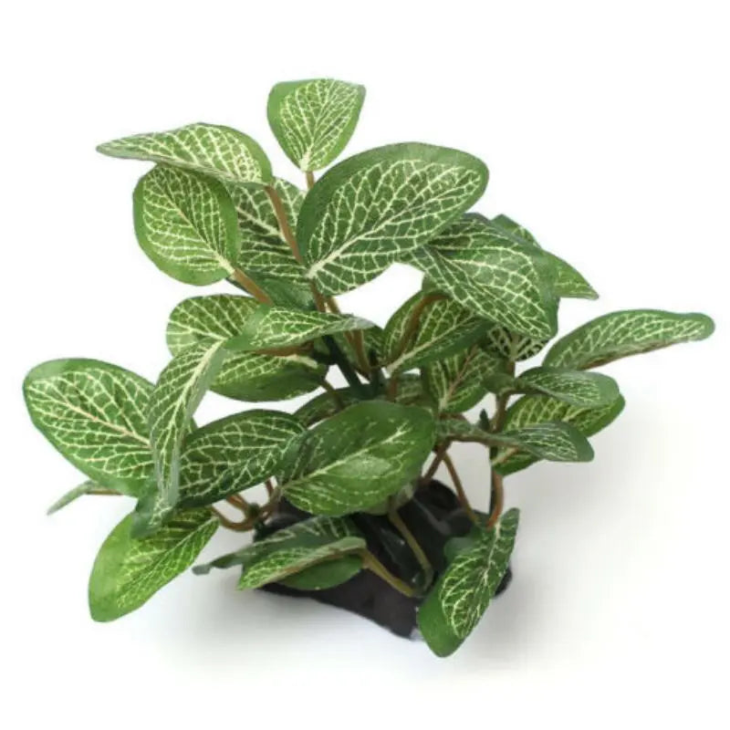 Plante Terrarium Herbe Artificielle