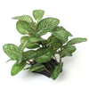 Plante Terrarium Herbe Artificielle