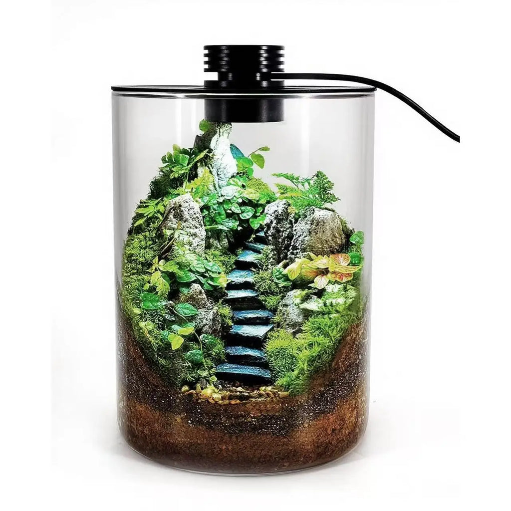Terrarium Plante avec Éclairage LED et Régulation Humidité
