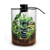 Terrarium Plante avec Éclairage LED et Régulation Humidité