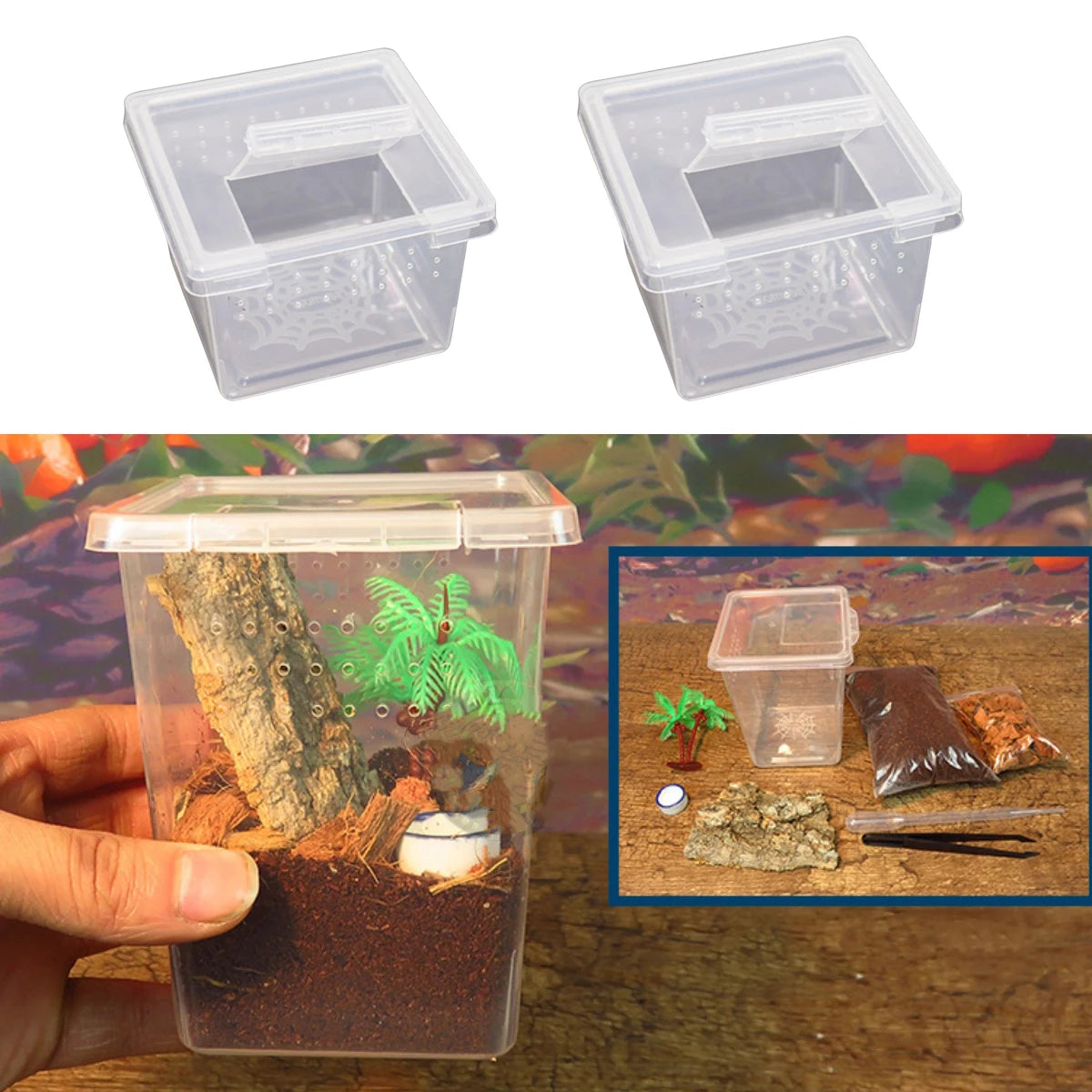 Petite Boîte d'Élevage Carrée Reptiles – Plastique ABS Transparent