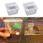 Petite Boîte d'Élevage Carrée Reptiles – Plastique ABS Transparent