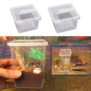 Petite Boîte d'Élevage Carrée Reptiles – Plastique ABS Transparent