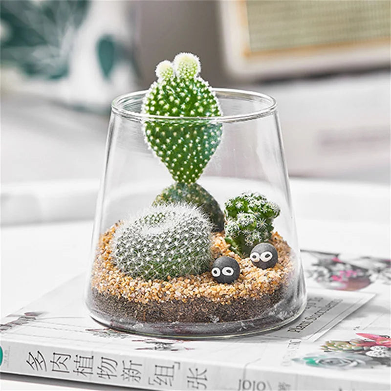 Terrarium Plante en Verre Borosilicate