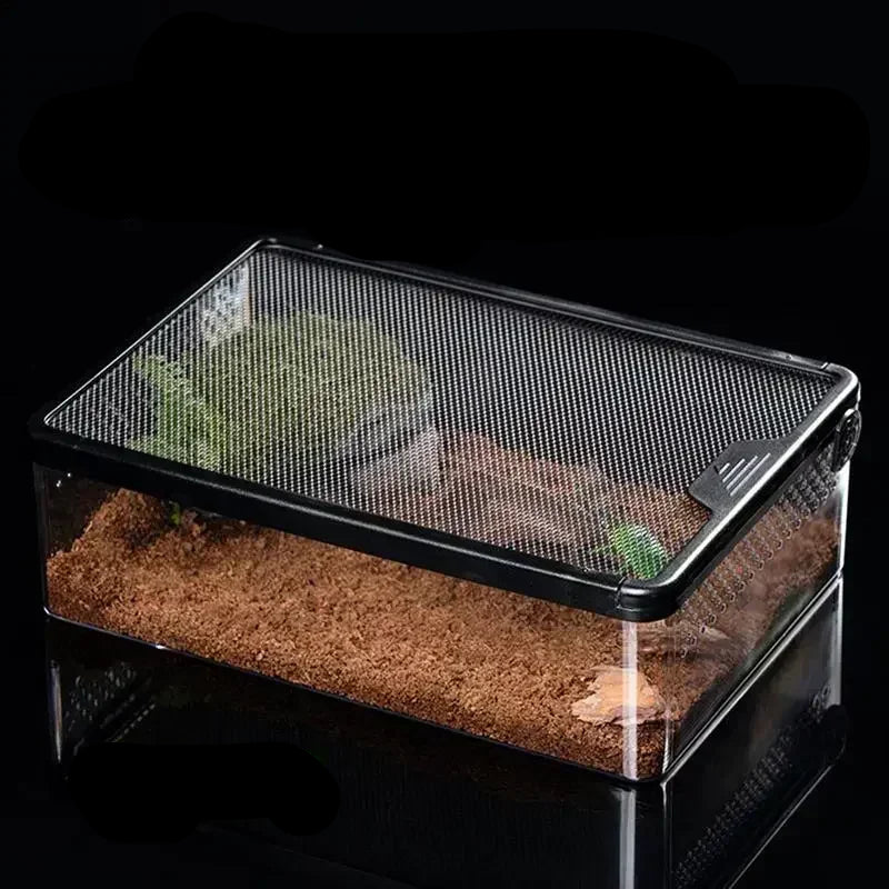 Terrarium Transparent Anti-Évasion pour Reptiles et Amphibiens - VIVARIUM PRO