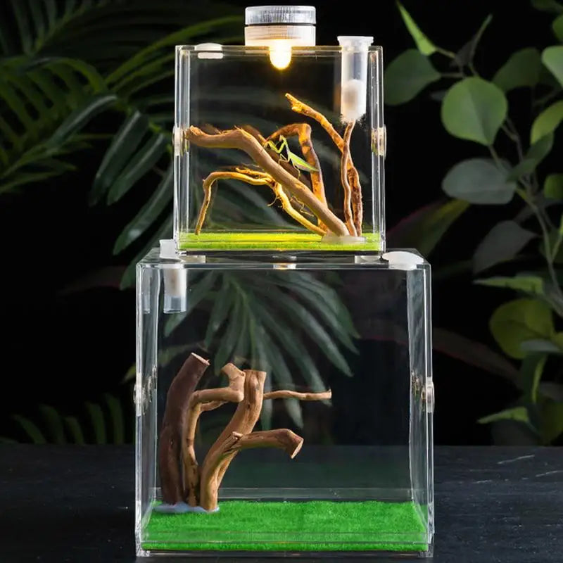 Boîte d'Élevage pour Reptiles et Insectes – Terrarium Acrylique Transparent