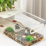 Terrarium Tortue avec Zone de Lézardage
